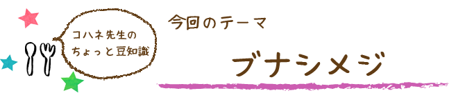 コハネ先生のちょこっと豆知識